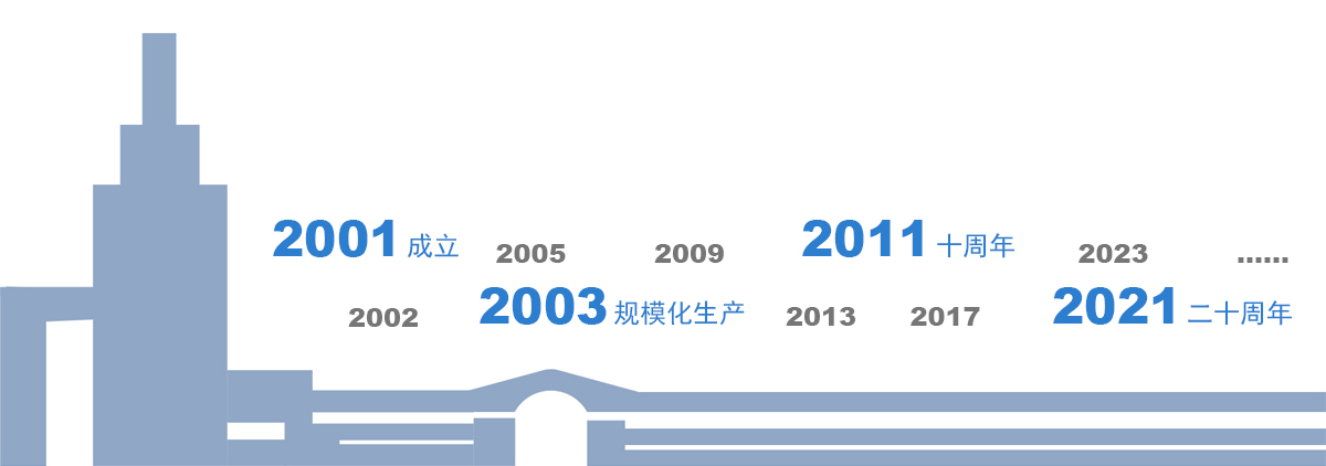 公司发展里程碑